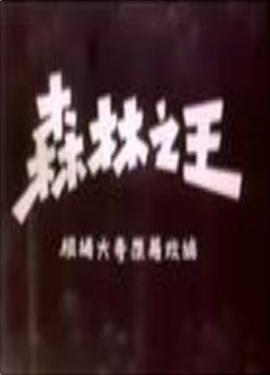 海报背景
