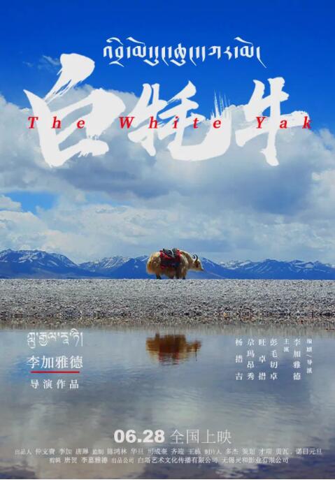 海报背景