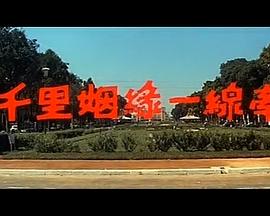 海报背景