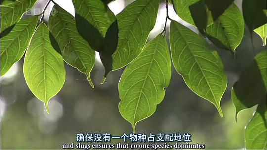 海报背景