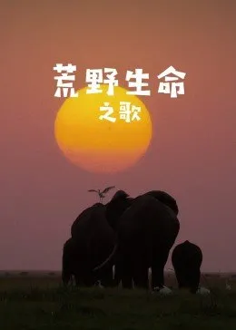 海报背景