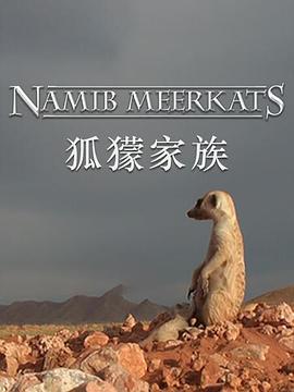 海报背景