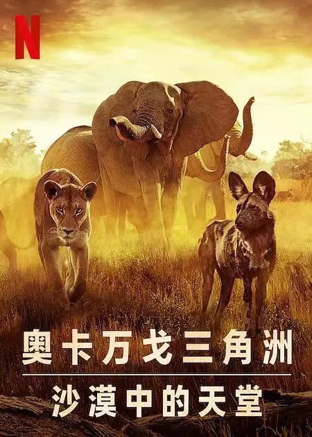 海报背景