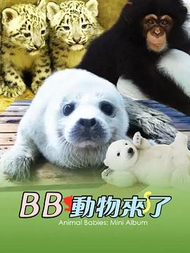 海报背景