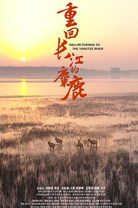 海报背景