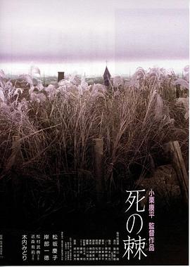 海报背景