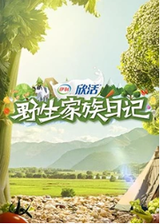 海报背景