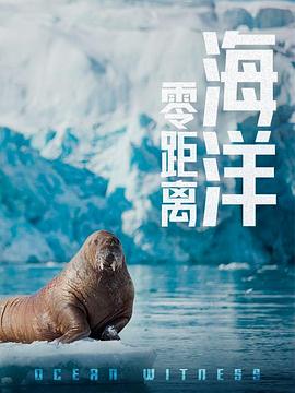 海报背景