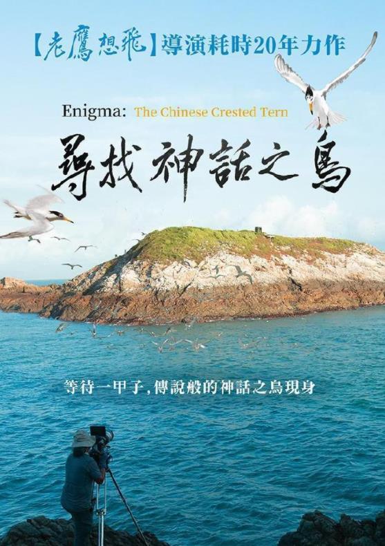 海报背景