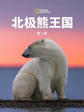 海报背景