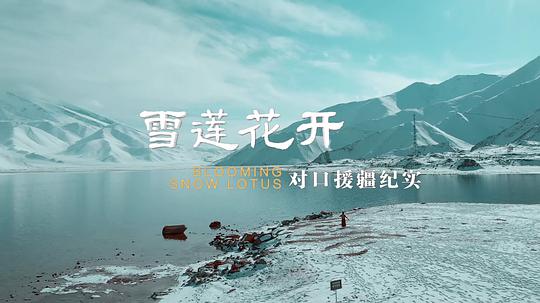 海报背景
