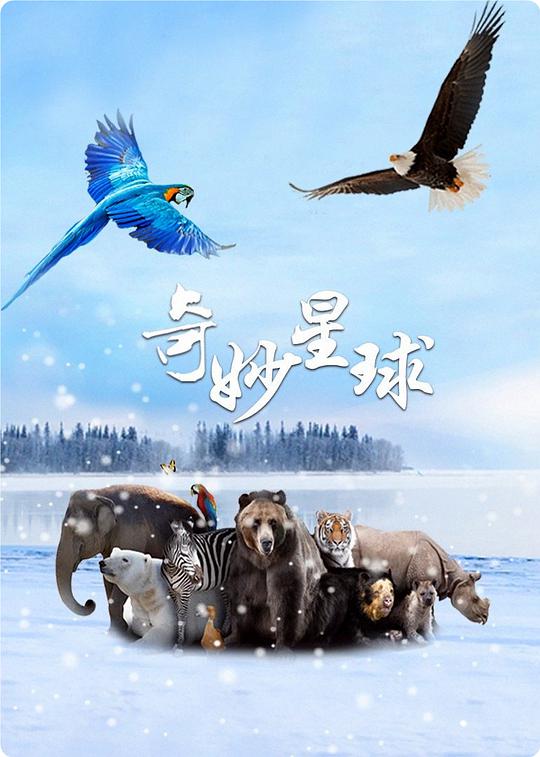 海报背景