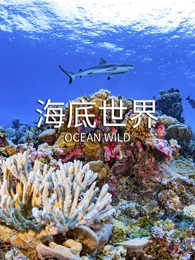 海报背景