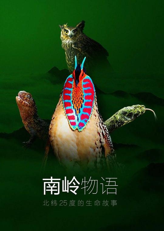 海报背景