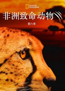 海报背景
